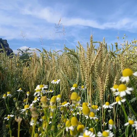 Farm stay L' Isola Di Arturo