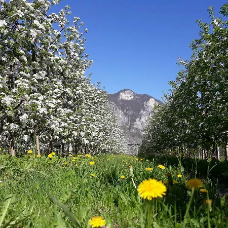 L' Isola Di Arturo Agroturismo *
