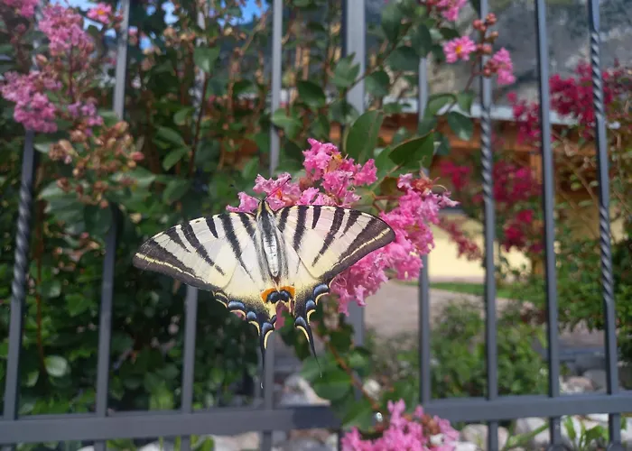 L' Isola Di Arturo טרנטו