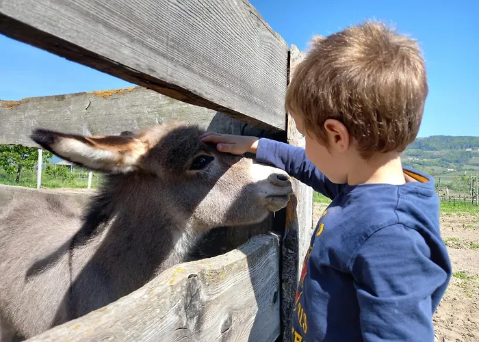 L' Isola Di Arturo בית חווה *