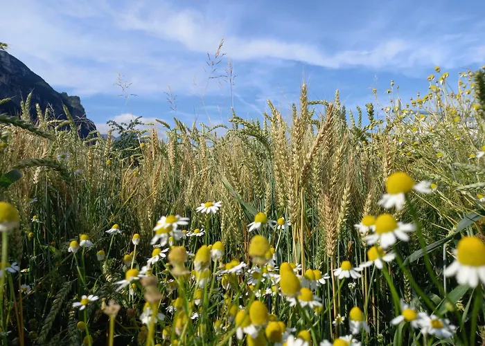 בית חווה L' Isola Di Arturo