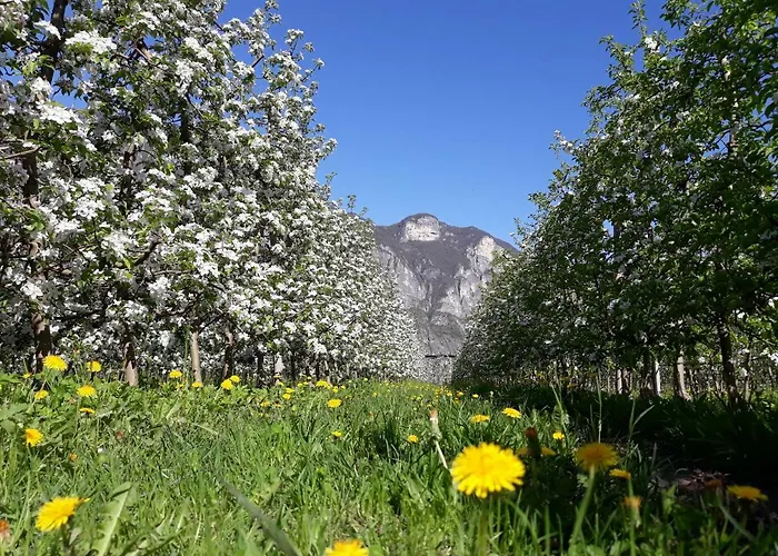 L' Isola Di Arturo בית חווה *