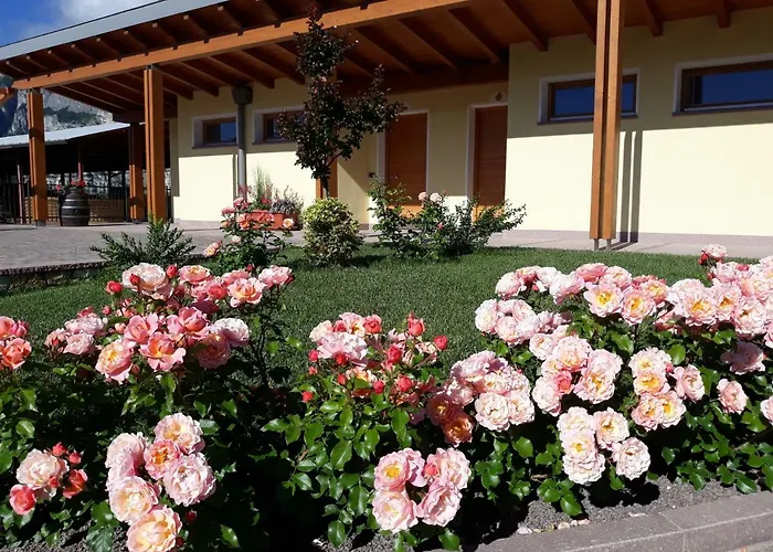 L' Isola Di Arturo *