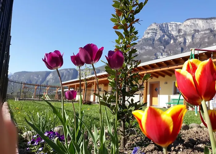 L' Isola Di Arturo בית חווה *